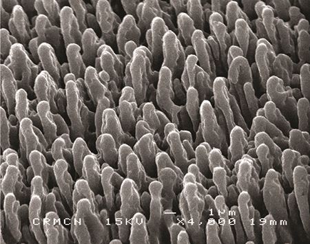 Close-up of the surface of black silicon