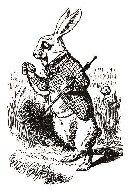 White Rabbit - Alice's Adventures